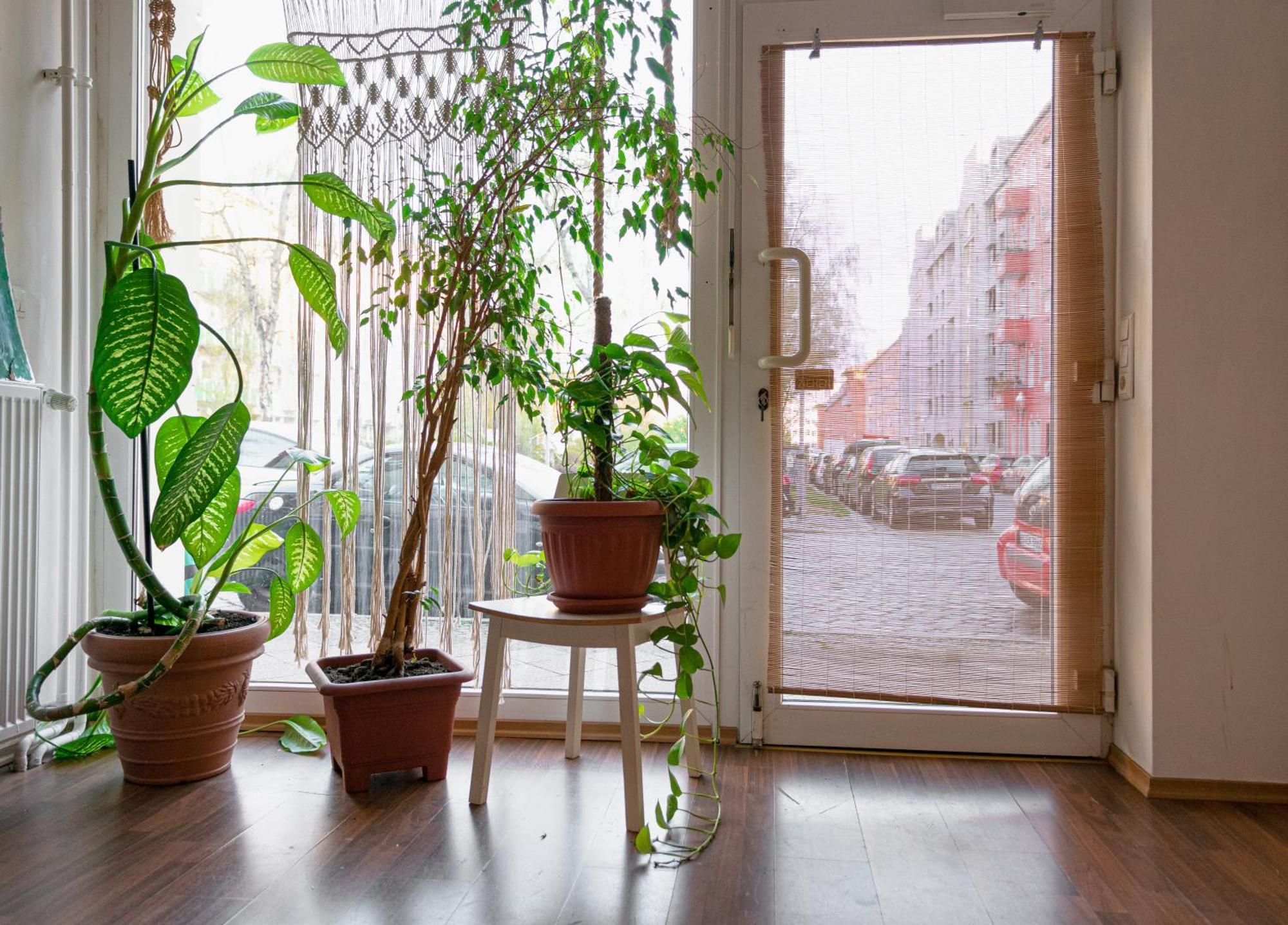Boutique Altbau Apartment Berlin Eksteriør bilde